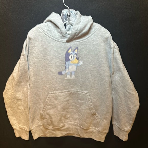 BLUEY Hooded Sweatshirt Light Gray Youth Size Small - Picture 1 of 5